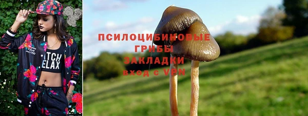 ECSTASY Сосновоборск