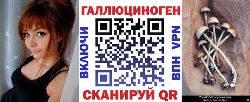 Галлюциногенные грибы Psilocybine cubensis  наркотики  Усолье 